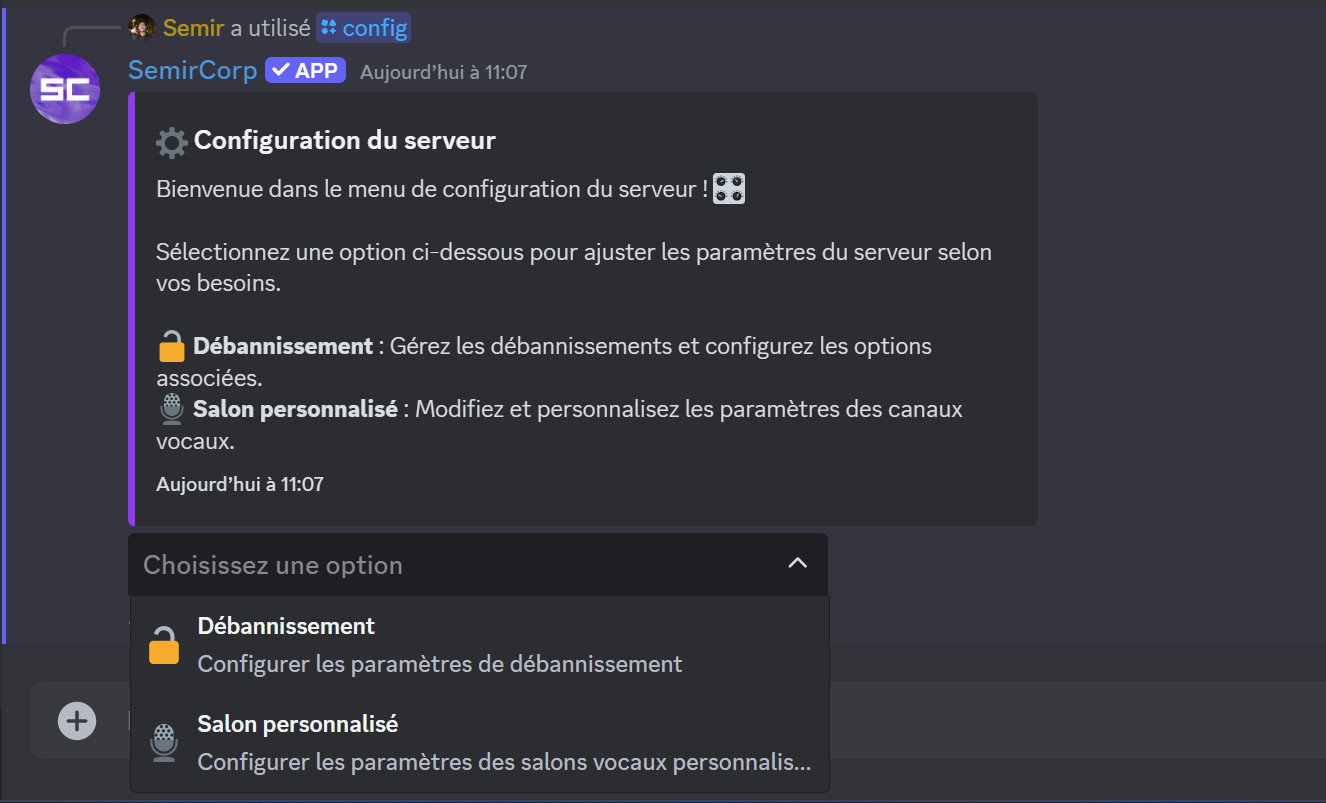 Gestion de Discord